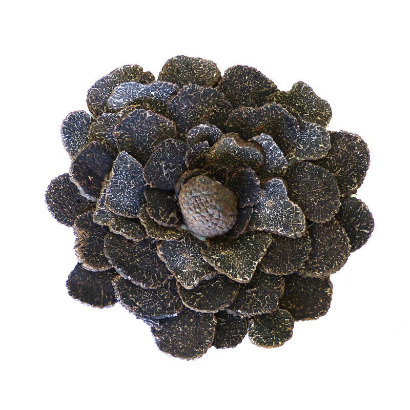 Truffe-noire-Lot-dispose-en-rosace-les-causeries-culinaires-recettes-ancetres-boutique-cours-cuisine-histoire