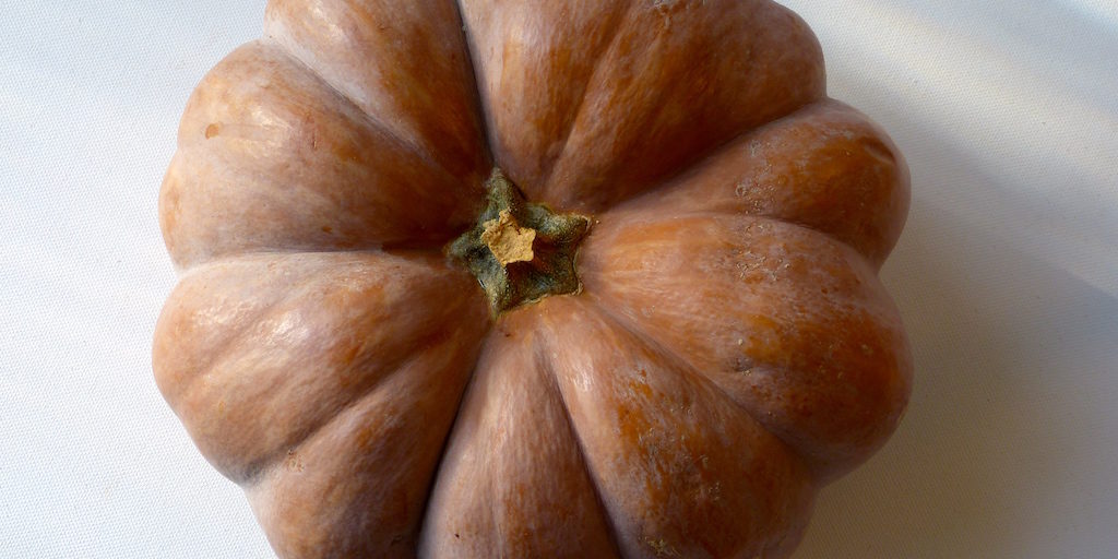 Citrouillle-les-causeries-culinaires-recettes-ancetres-boutique-cours-cuisine-histoire Citrouillle-les-causeries-culinaires-recettes-ancetres-boutique-cours-cuisine-histoire