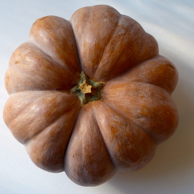 Citrouillle-les-causeries-culinaires-recettes-ancetres-boutique-cours-cuisine-histoire Citrouillle-les-causeries-culinaires-recettes-ancetres-boutique-cours-cuisine-histoire