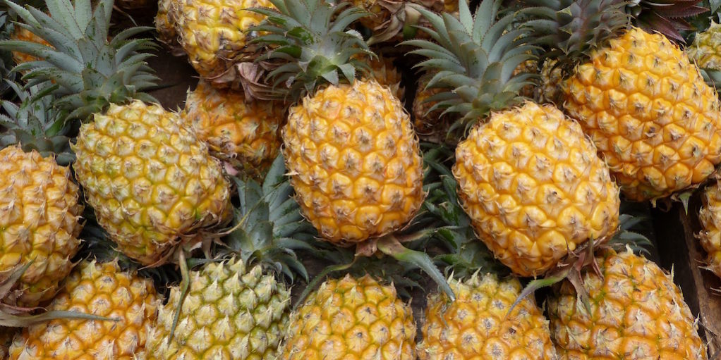 Ananas-marche-reunion-les-causeries-culinaires-recettes-ancetres-boutique-cours-cuisine-histoire Ananas-marche-reunion-les-causeries-culinaires-recettes-ancetres-histoire
