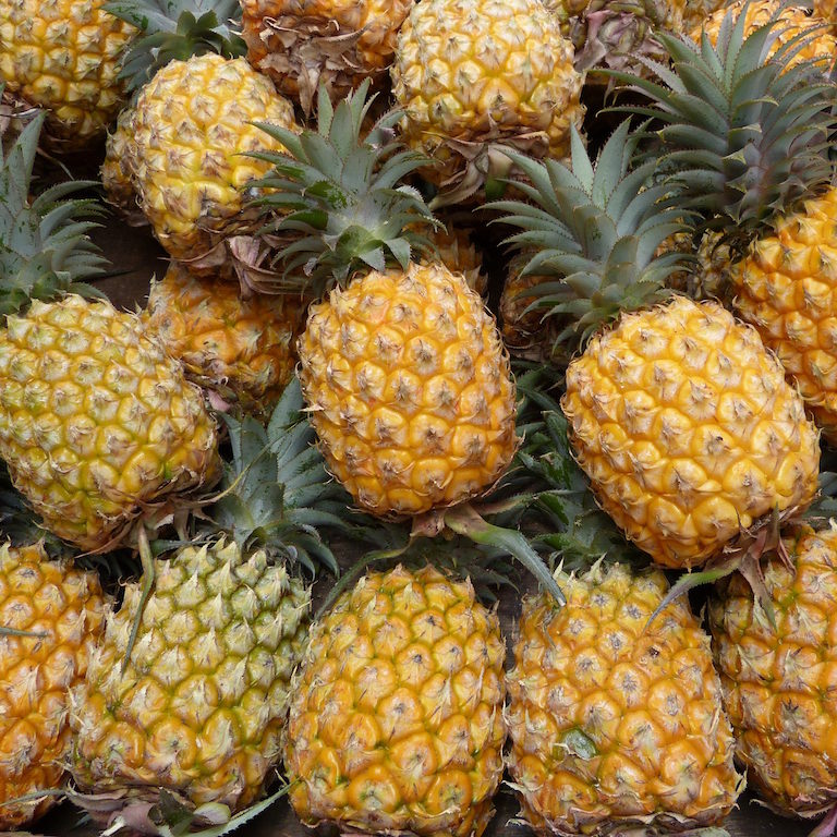 Ananas-marche-reunion-les-causeries-culinaires-recettes-ancetres-boutique-cours-cuisine-histoire Ananas-marche-reunion-les-causeries-culinaires-recettes-ancetres-histoire