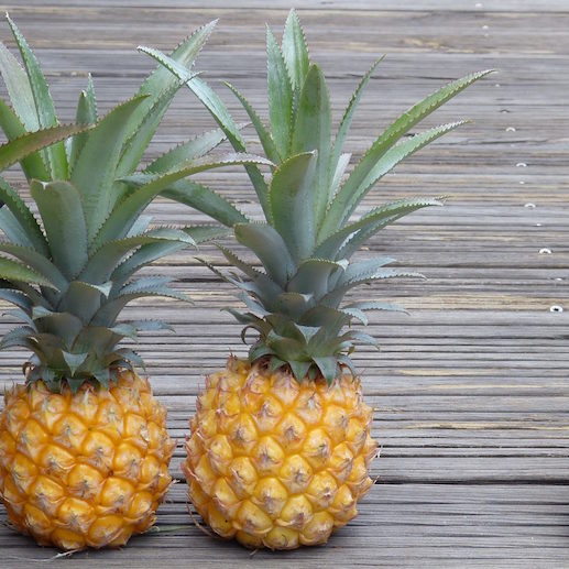 Ananas-victoria-les-causeries-culinaires-recettes-ancetres-boutique-cours-cuisine-histoire Ananas-victoria-les-causeries-culinaires-recettes-ancetres