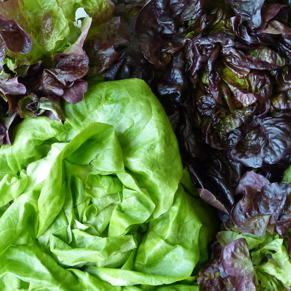 Salades-les-causeries-culinaires-recette-fait-maison-boutique-saveur-histoire Salades-les-causeries-culinaires-recette-fait-maison-boutique-saveur-histoire