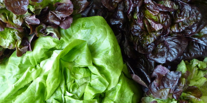 Salades-les-causeries-culinaires-recette-fait-maison-boutique-saveur-histoire