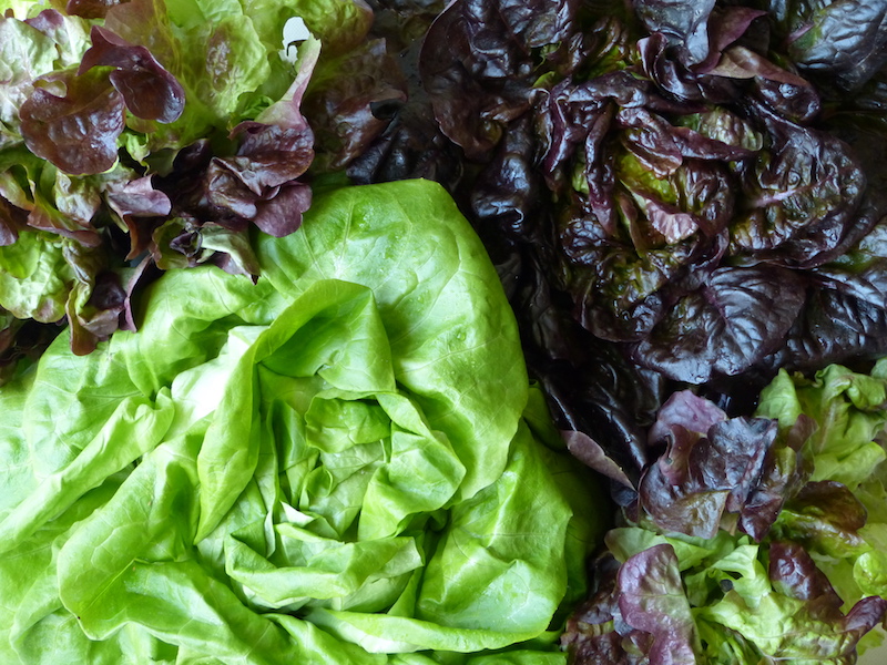 Salades-les-causeries-culinaires-recette-fait-maison-boutique-saveur-histoire