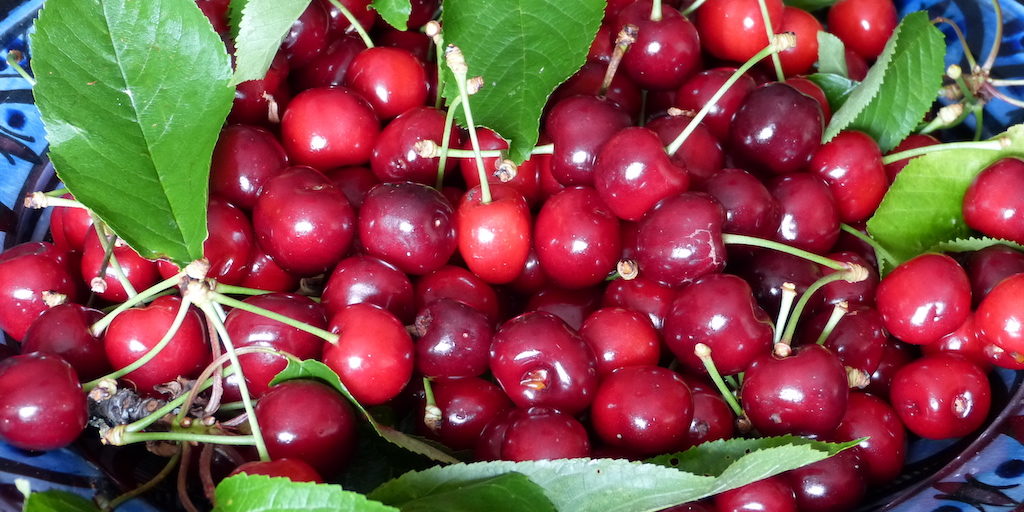 Cerise-les-causeries-culinaires-recette-fait-maison-boutique-saveur-histoire Cerise-les-causeries-culinaires-recette-fait-maison-boutique-saveur-histoire