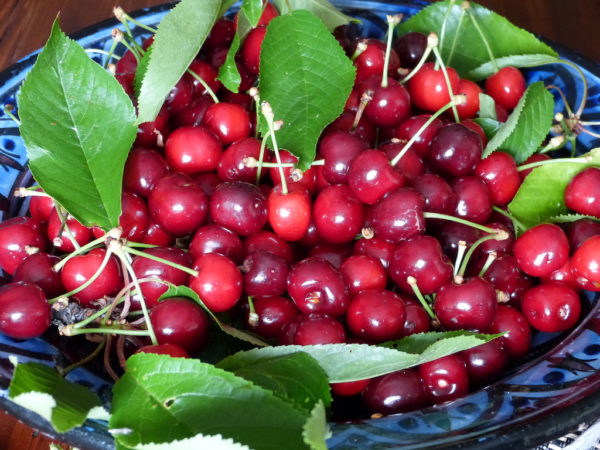 Cerise-les-causeries-culinaires-recette-fait-maison-boutique-saveur-histoire Cerise-les-causeries-culinaires-recette-fait-maison-boutique-saveur-histoire