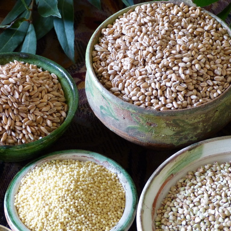 Céréales-Copyright-Lescauseriesculinaires Quatre-pots-de-grains-épeautre-orge-sarrasin-millet