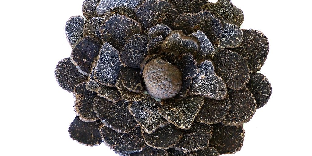 Truffes-noires-fleur-les-causeries-culinaires-recette-fait-maison-boutique-saveur-histoire.JPG Tranches de truffe disposées en comme des pétales de fleurs.
