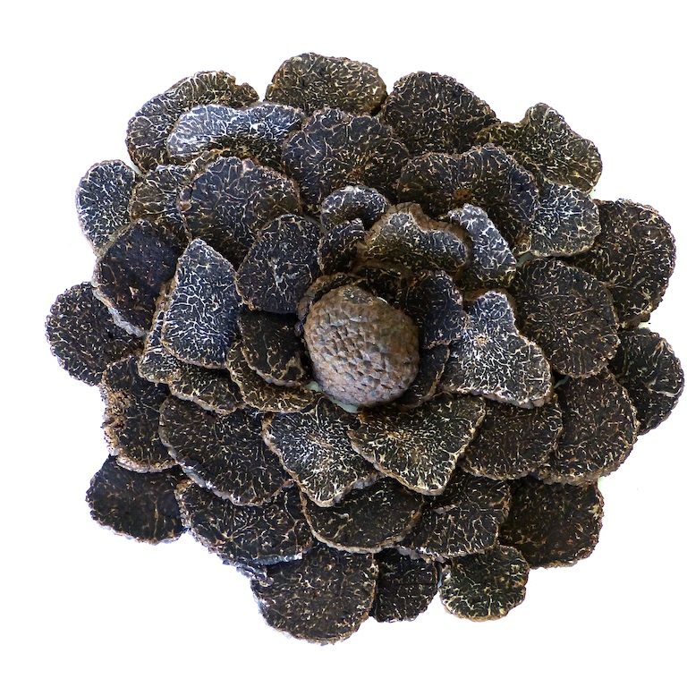 Truffes-noires-fleur-les-causeries-culinaires-recette-fait-maison-boutique-saveur-histoire.JPG Tranches de truffe disposées en comme des pétales de fleurs.