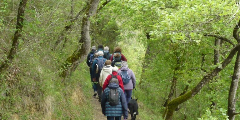 Photo de la balade sur un chemin de campagne