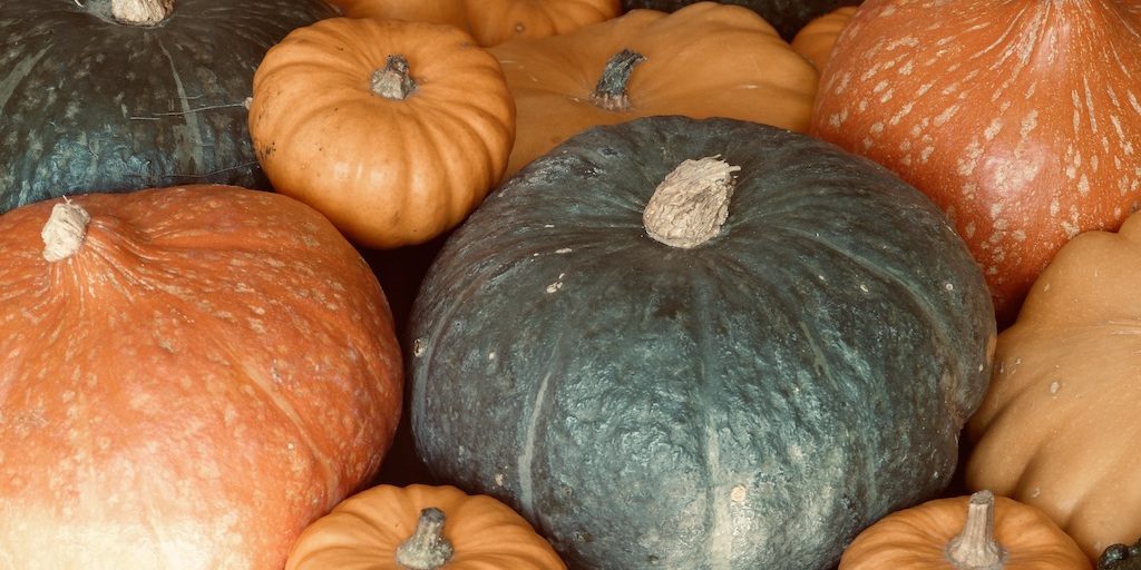 Courges-marché-les-causeries-culinaires-cuisine-fait-maison-boutique-saveur-histoire Photo de tas de courges
