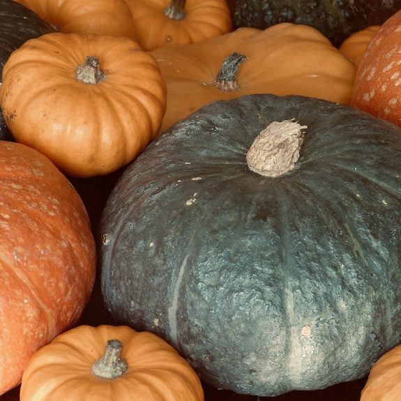 Courges-marché-les-causeries-culinaires-cuisine-fait-maison-boutique-saveur-histoire Photo de tas de courges