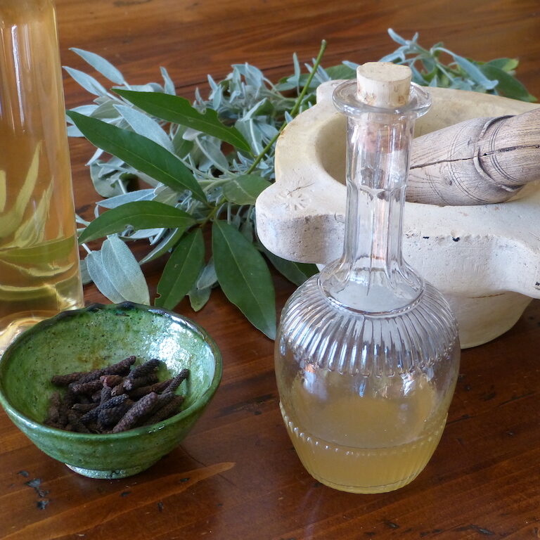 Sauge-les-causeries-culinaires-recette-fait-maison-boutique-saveur-histoire Photo de la boisson dans une bouteille réalisée suivant la recette médiévale