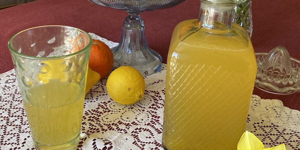Orangeade-Escoffier-les-causeries-culinaires-recette-fait-maison-boutique-saveur-histoire photo de l'orangeade réalisée suivant la recette de 1934