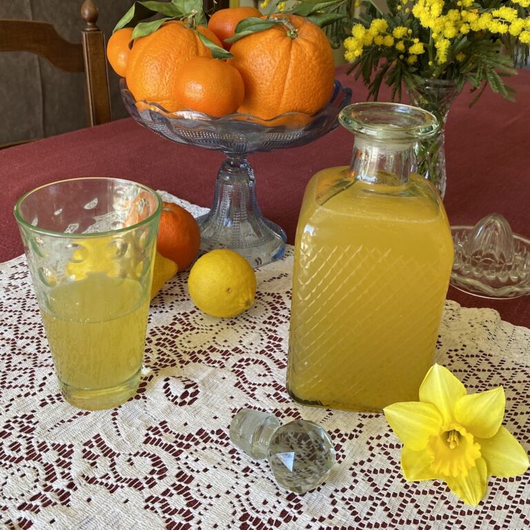 Orangeade-Escoffier-les-causeries-culinaires-recette-fait-maison-boutique-saveur-histoire photo de l'orangeade réalisée suivant la recette de 1934