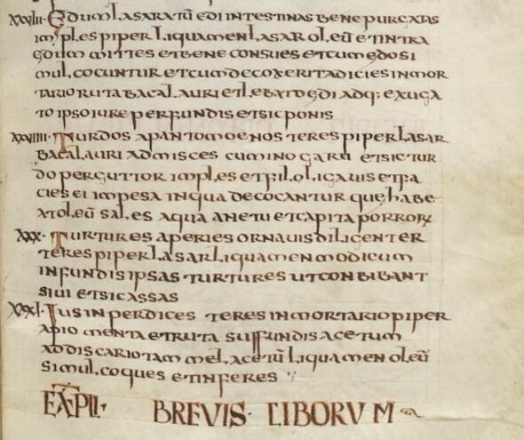 page du livre de l'an 800