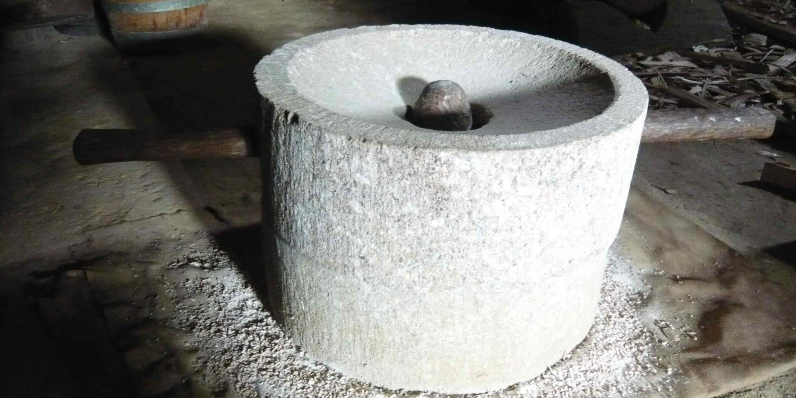 meule-rotative-reproduction-village-gaulois-saint-julien-Haute-Garonne-es-causeries-culinaires-histoire-cours-cuisine-recettes photo d'une meule de pierre en face similé