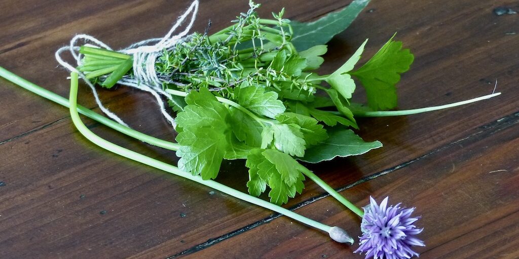 Bouquet-garni-2 un bouquet garni de persil, ciboule, thym et laurier