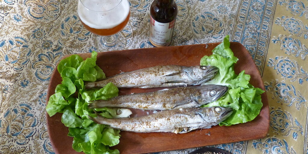 Poisson-cumin-les-causeries-culinaires-recette-fait-maison-boutique-saveur-histoire Photo de 3 merlus grillés suivant la recette gauloise